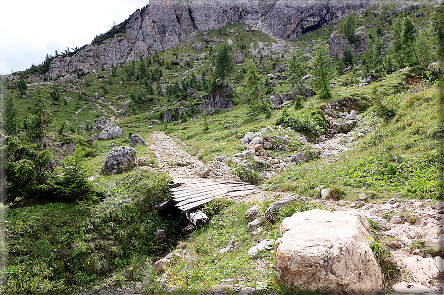 foto Passeggiata dal Col dei Balbi al Rifugio Coldai